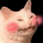 ty1