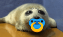 :baby: