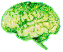 :brain: