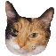 :toffee: