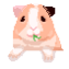 :peek: