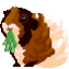 :nom: